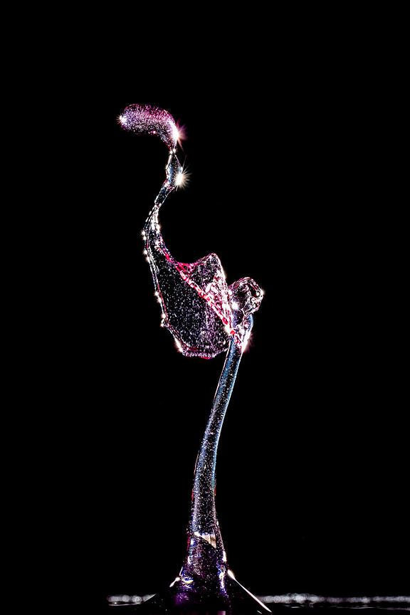 FIGURES — Flamingo, sculpture liquide Fluigraphy