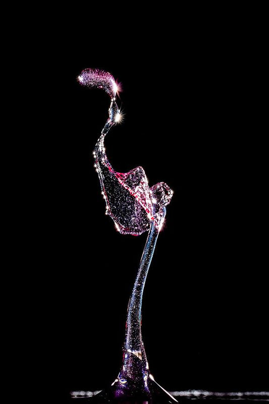 Flamingo — Sculpture liquide Fluigraphy par Martin Brand
