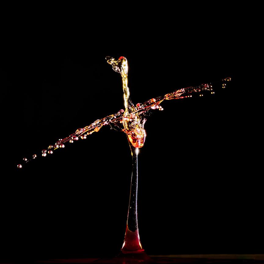 The Bird — Sculpture liquide Fluigraphy par Martin Brand