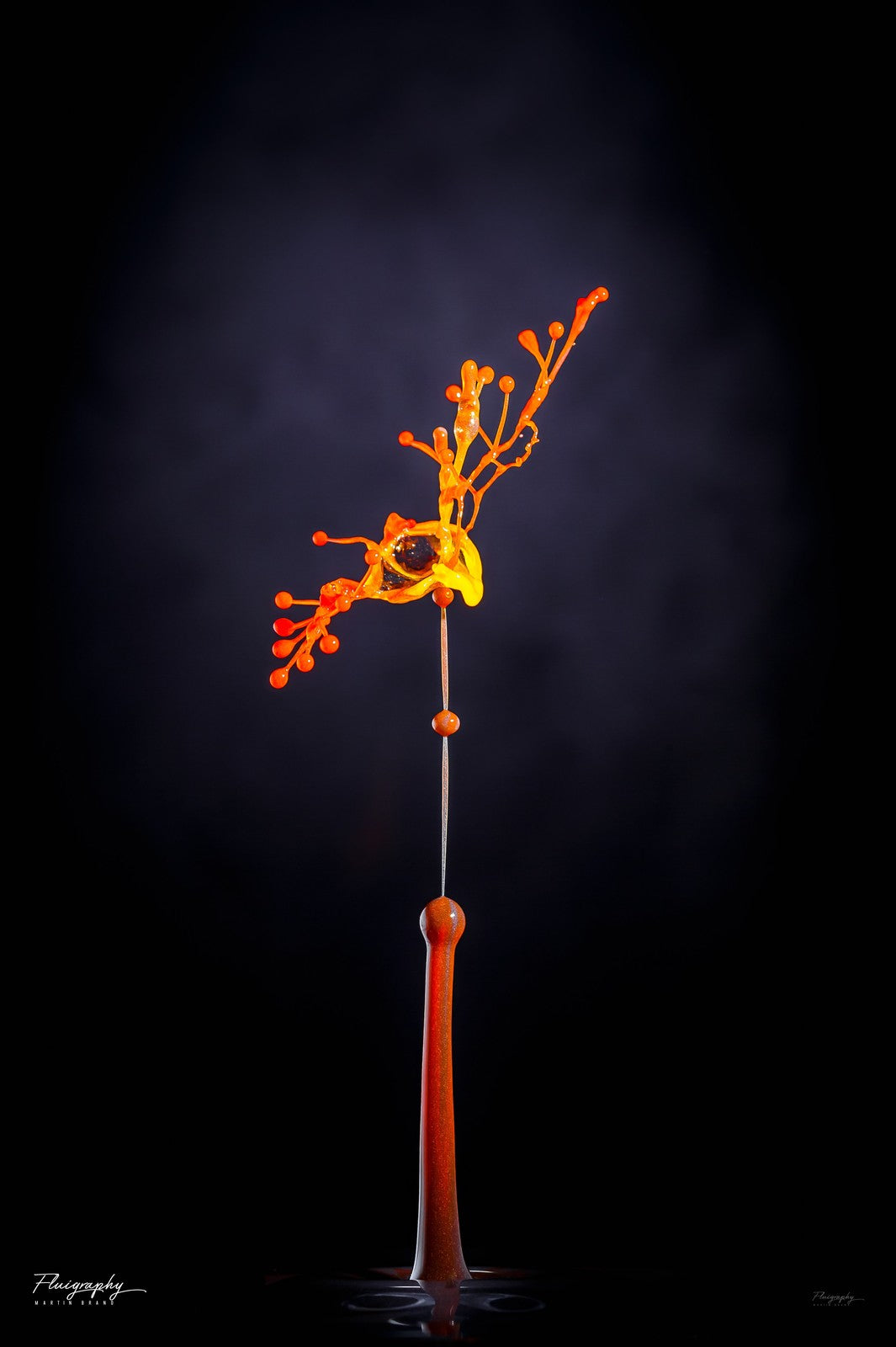 Phoenix — Sculpture liquide Fluigraphy par Martin Brand