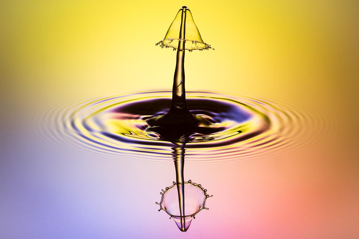 The Mushroom — Sculpture liquide Fluigraphy par Martin Brand