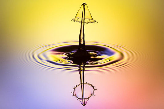 The Mushroom — Sculpture liquide Fluigraphy par Martin Brand